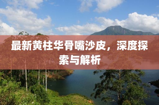 最新黃柱華骨嘴沙皮，深度探索與解析