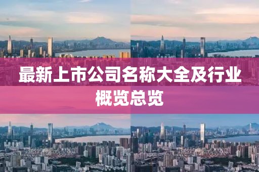 最新上市公司名稱(chēng)大全及行業(yè)概覽總覽