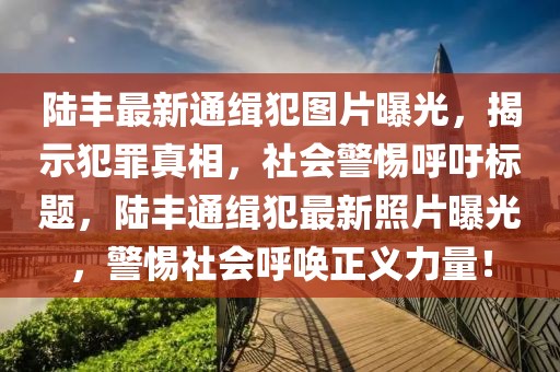 陸豐最新通緝犯圖片曝光，揭示犯罪真相，社會(huì )警惕呼吁標題，陸豐通緝犯最新照片曝光，警惕社會(huì )呼喚正義力量！