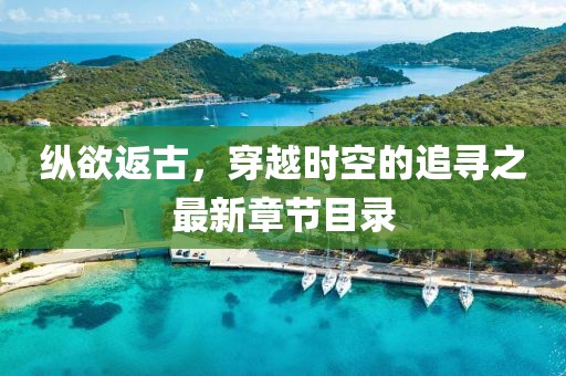 縱欲返古，穿越時(shí)空的追尋之最新章節目錄