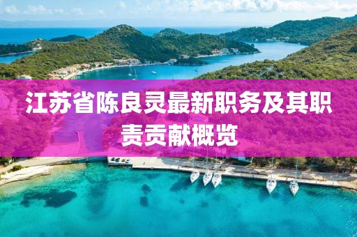 江蘇省陳良靈最新職務(wù)及其職責貢獻概覽