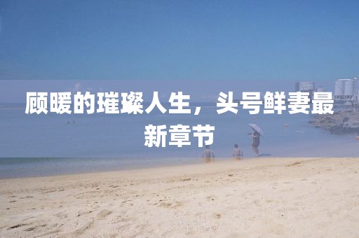 顧暖的璀璨人生，頭號鮮妻最新章節