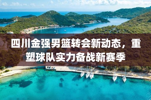 四川金強男籃轉會(huì )新動(dòng)態(tài)，重塑球隊實(shí)力備戰新賽季