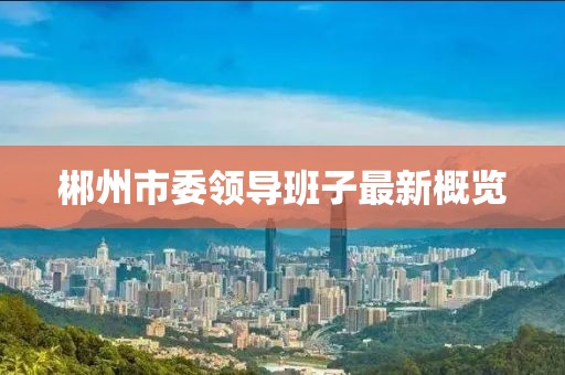 郴州市委領(lǐng)導班子最新概覽