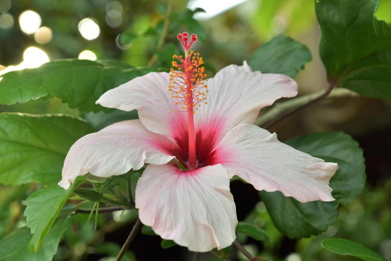 濟寧南風(fēng)花園最新動(dòng)態(tài)更新，濟寧南風(fēng)花園最新概況