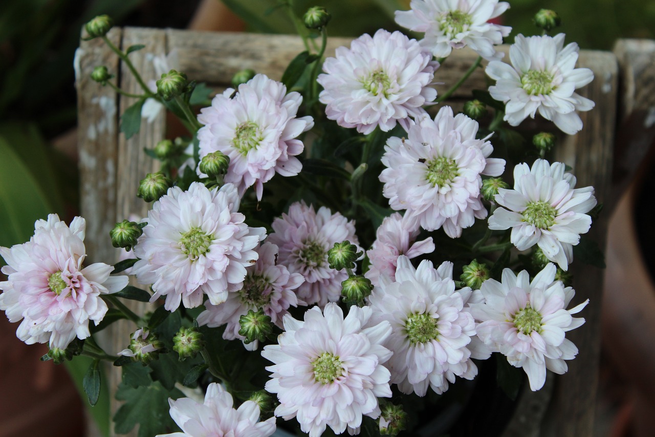 丹陽(yáng)昆侖華府最新動(dòng)態(tài)解析，深度了解最新消息
