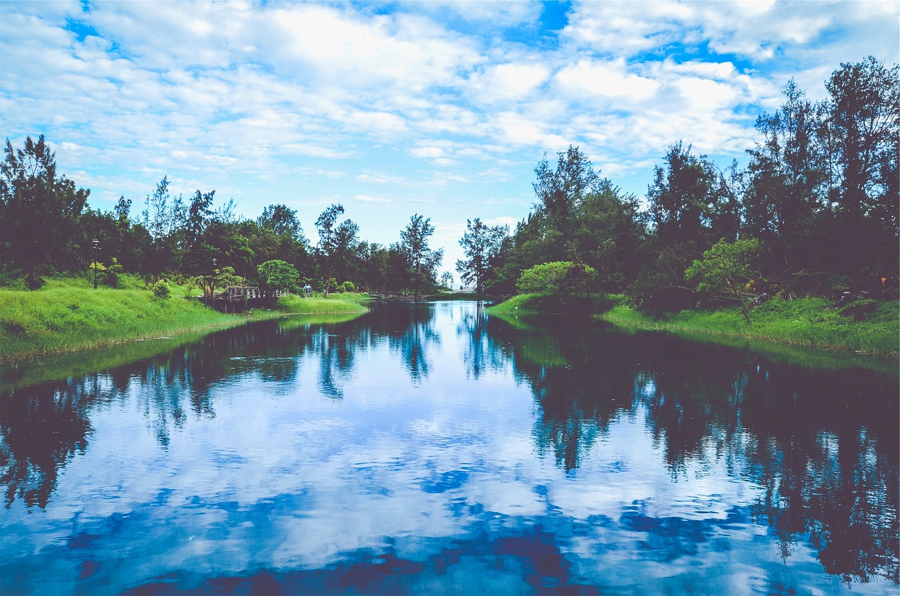 韓國薩德最新動(dòng)態(tài)，全球關(guān)注下的焦點(diǎn)事件分析視頻揭秘最新消息