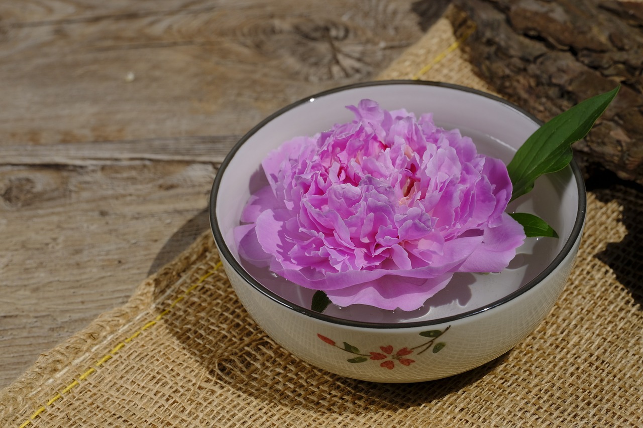 大康牧業(yè)利好消息深度解析，最新動(dòng)態(tài)帶來(lái)積極前景