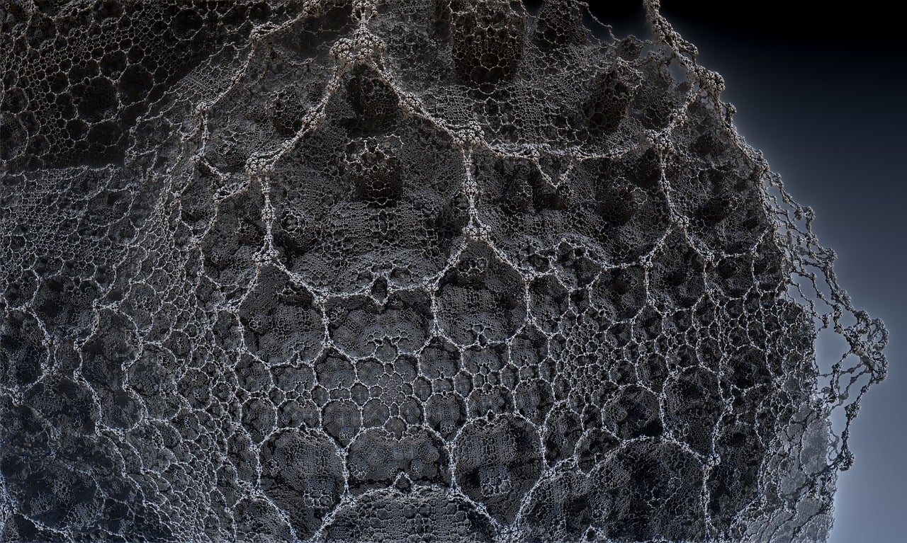 遼寧隋顯利最新動(dòng)態(tài)，傳奇人物的嶄新篇章