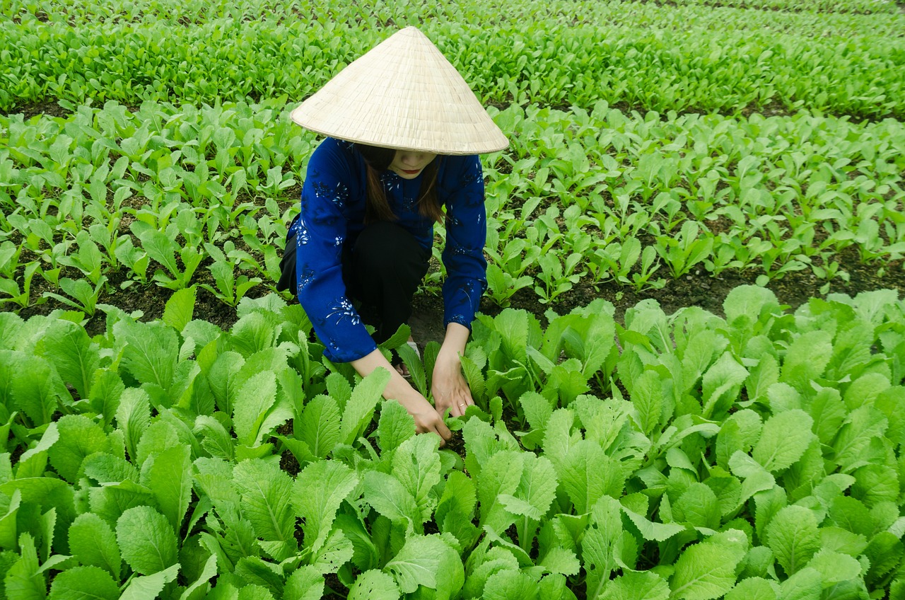 甬金鐵路最新動(dòng)態(tài)，嵊州發(fā)展與鐵路聯(lián)動(dòng)推進(jìn)