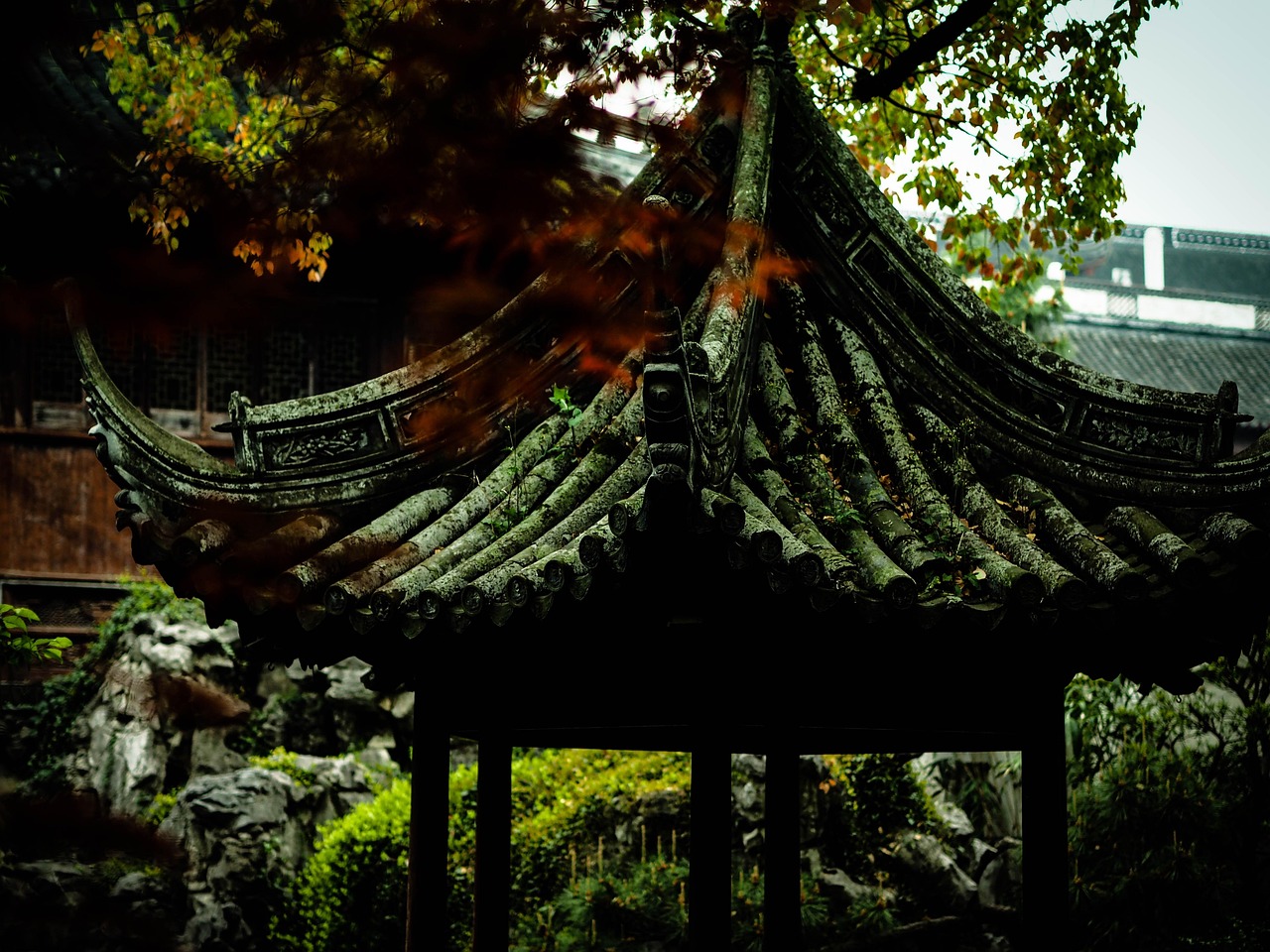 中國女排隊蓄勢待發(fā)，展現新篇章，最新消息與動(dòng)態(tài)速遞