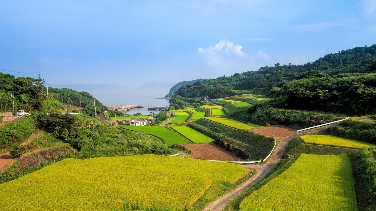 廣西靈山高速建設進(jìn)展揭秘，最新消息與未來(lái)展望