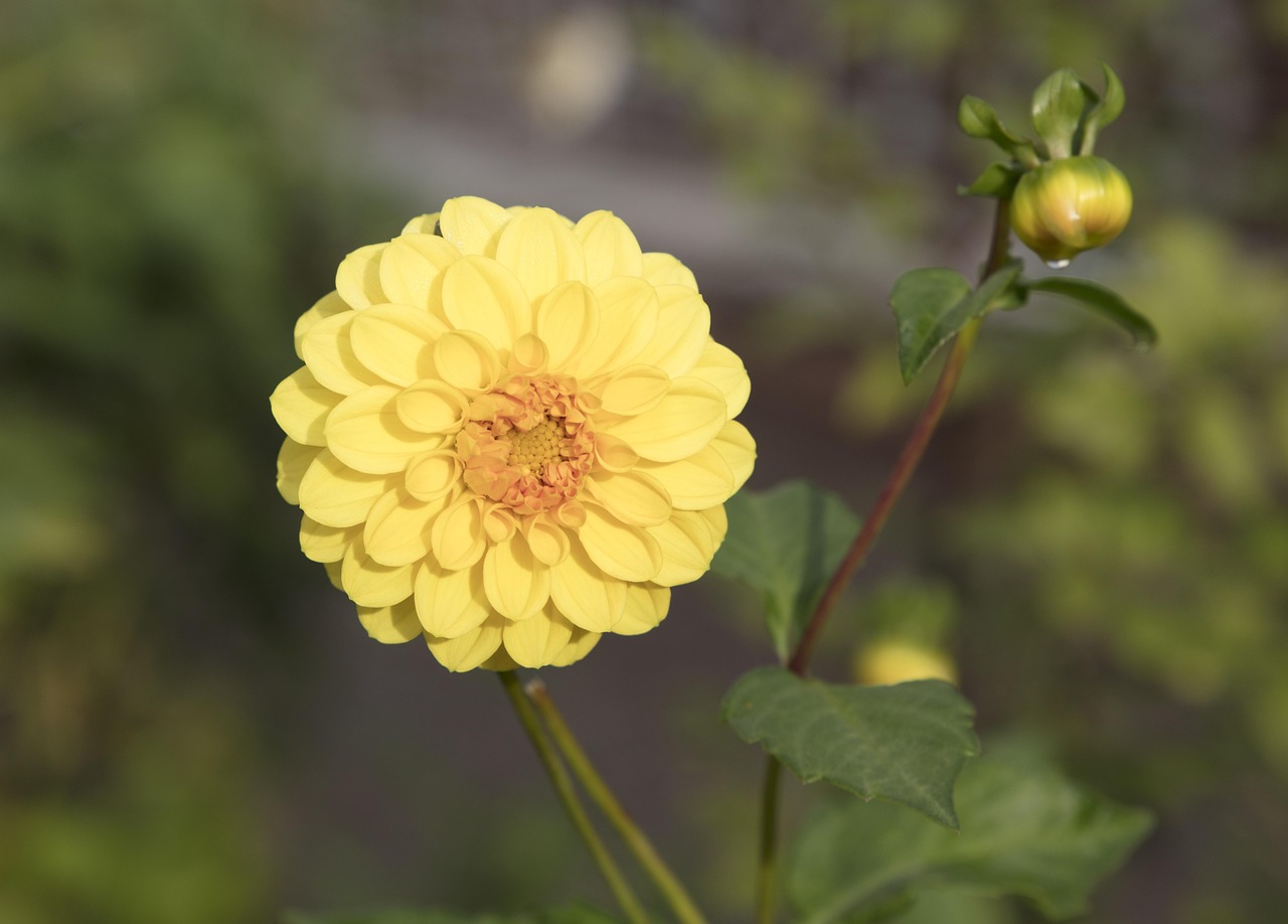醉花蔭下 第8頁(yè)
