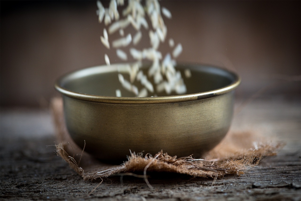 王樹(shù)勤在承德，最新發(fā)展動(dòng)態(tài)及消息解讀