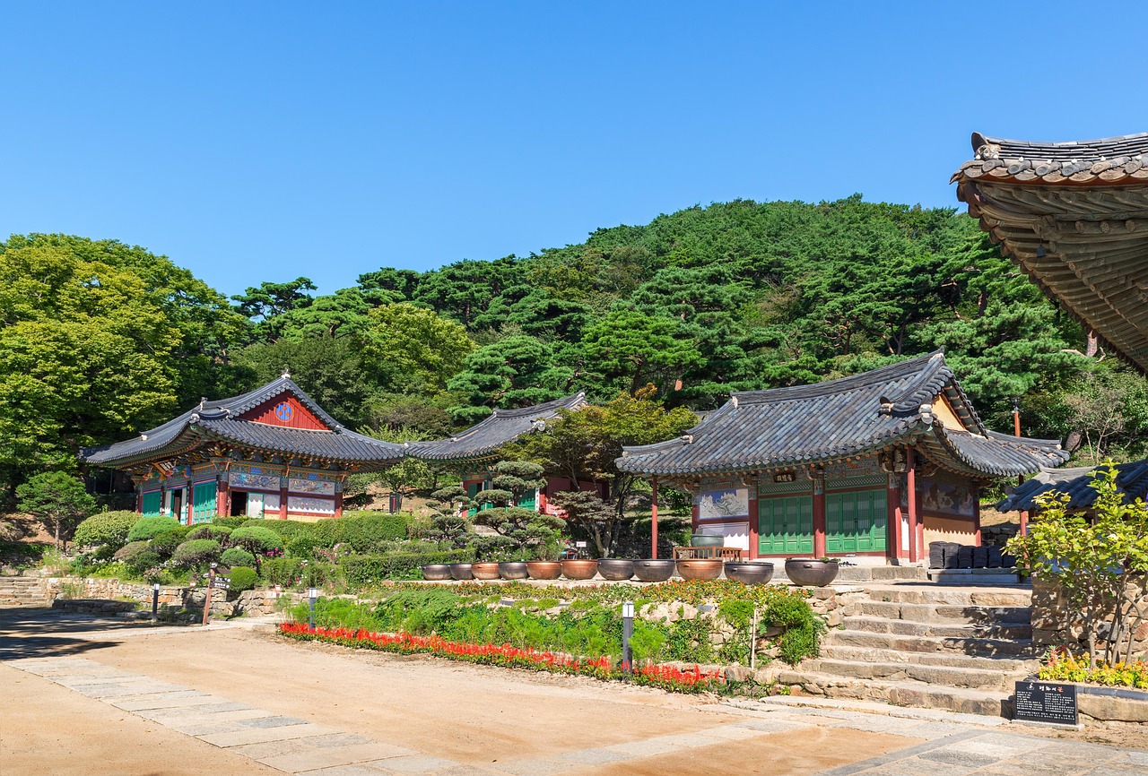 廣饒四季花城，繁榮盛景與未來(lái)期待揭秘