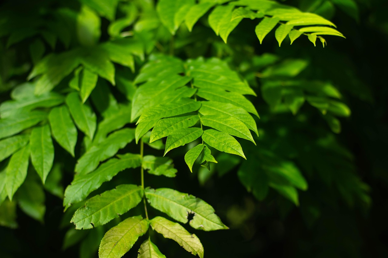 北海水印泉山最新動(dòng)態(tài)，城市發(fā)展與綠色生態(tài)的和諧共鳴
