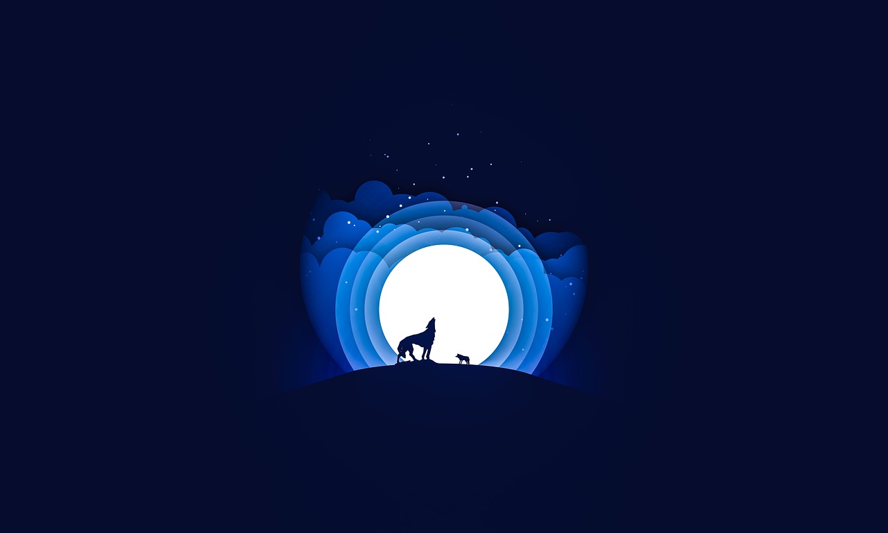 夜狼直播最新版本下載攻略，指南與體驗分享
