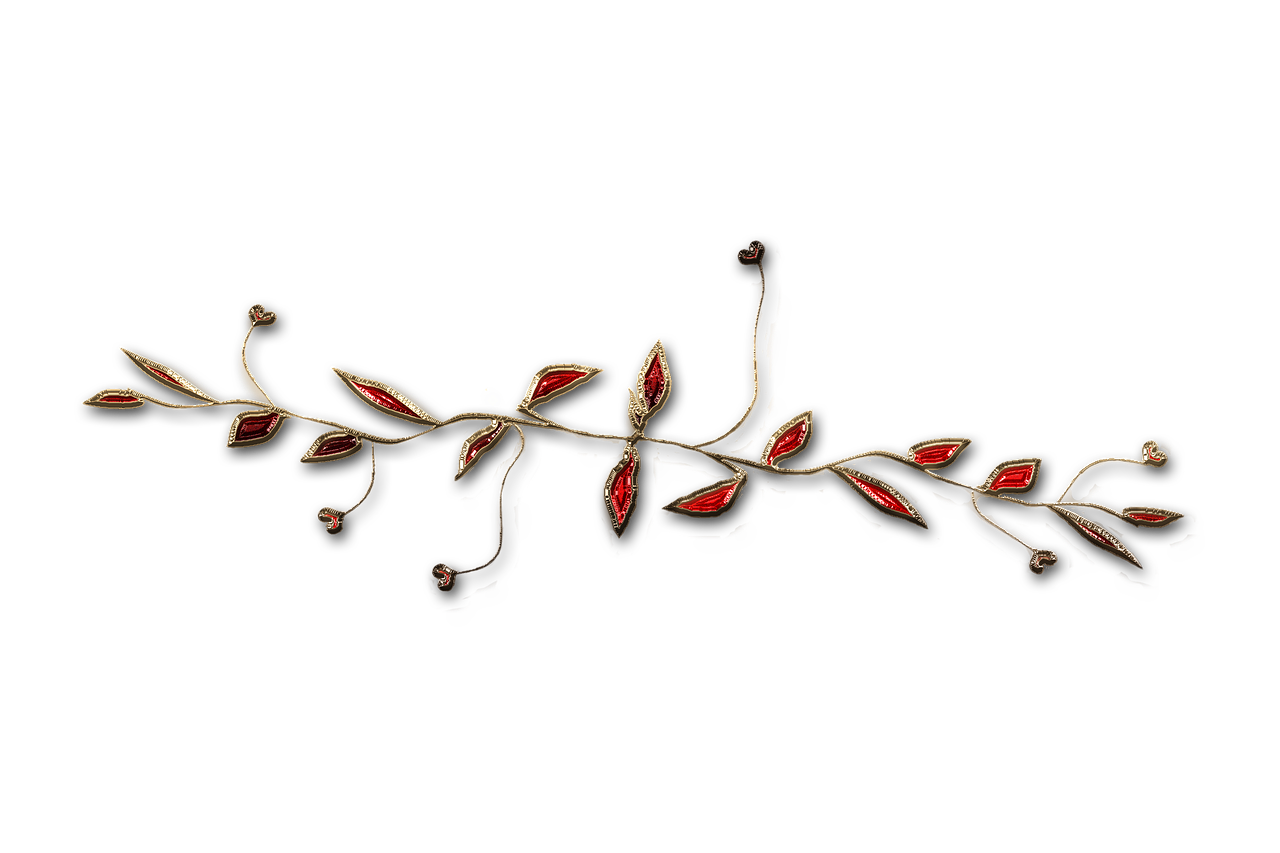 廣西大紅八角產(chǎn)業(yè)蓬勃發(fā)展，前景廣闊，最新消息與動(dòng)態(tài)