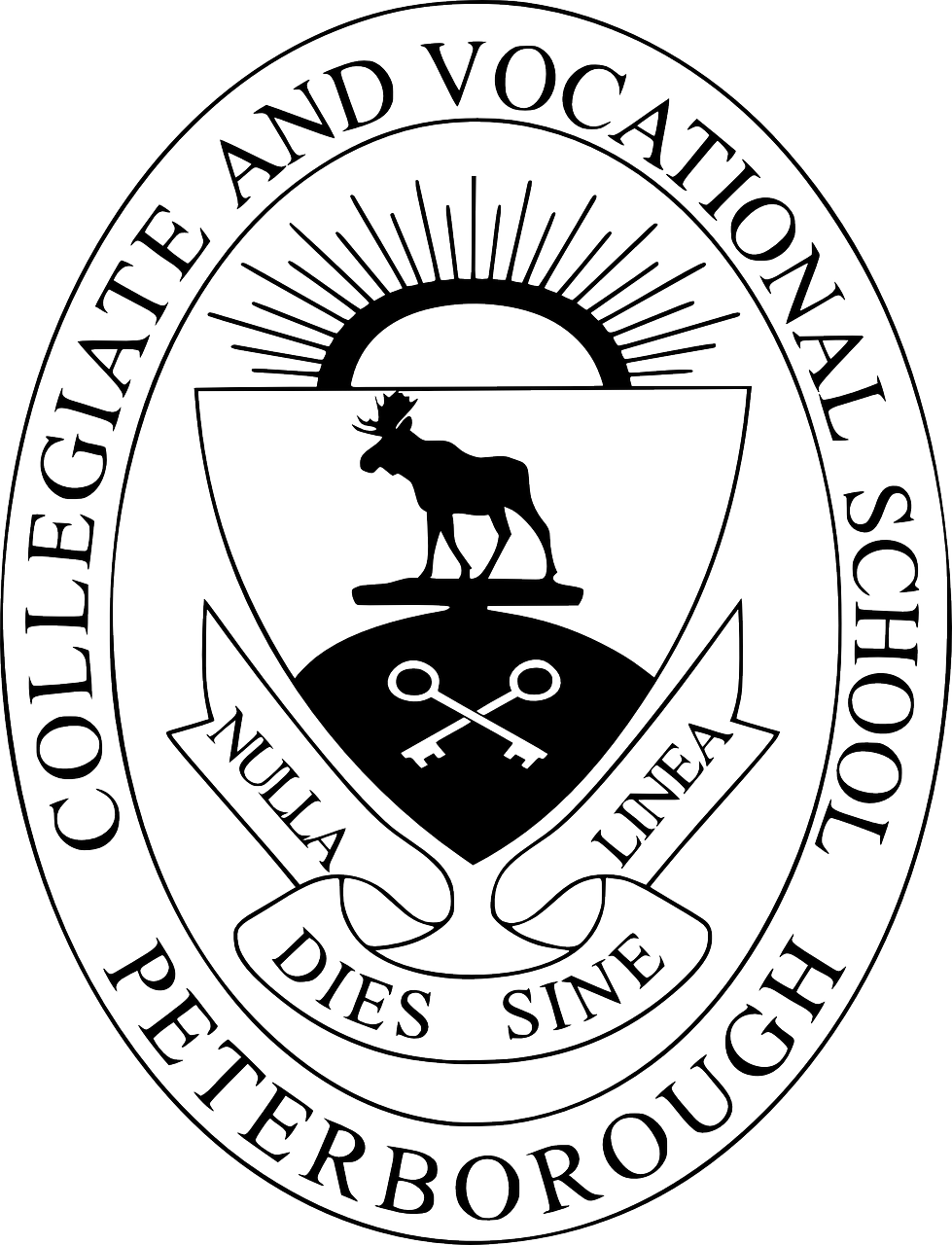 共青城大學(xué)城蓬勃發(fā)展，教育新篇章的最新消息
