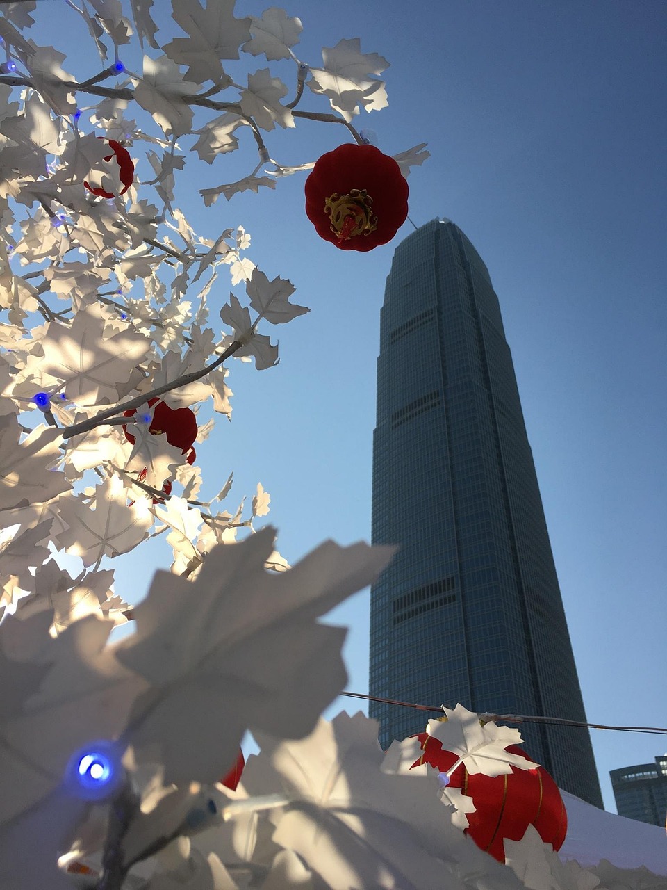 漫漫長(cháng)夜新版本砍樹(shù)探索，全新體驗之旅